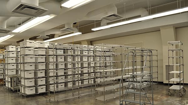 Steel wire racks holding rows of white archive boxes in a bright storeroom, with a rolling step ladder